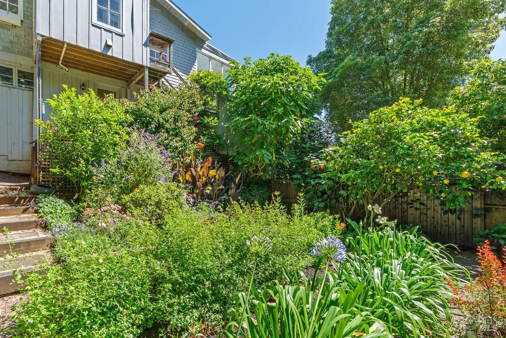 411 Main Street Sausalito, CA 94965 - Photo 16 of 33 Beautiful landscaped garden with a flagston patio and steps