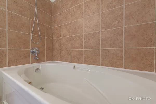 $2,300 | 1620 South Michigan Avenue, Unit 519, Chicago, IL 60616