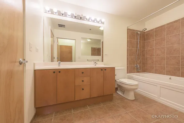 $2,300 | 1620 South Michigan Avenue, Unit 519, Chicago, IL 60616