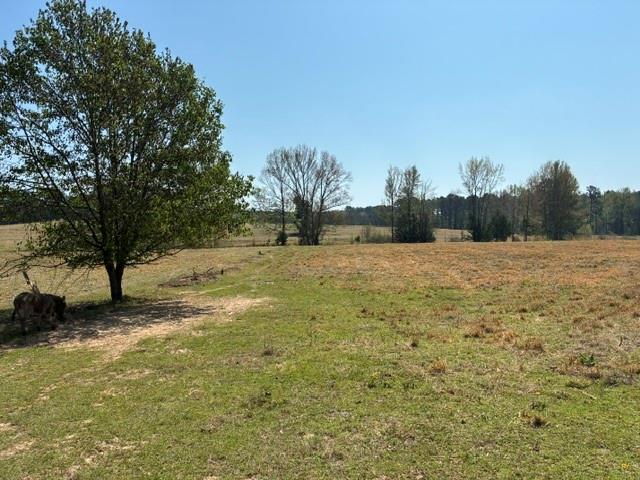 D-1 Dorcheat Road Minden, LA 71055 - Photo 3 of 17