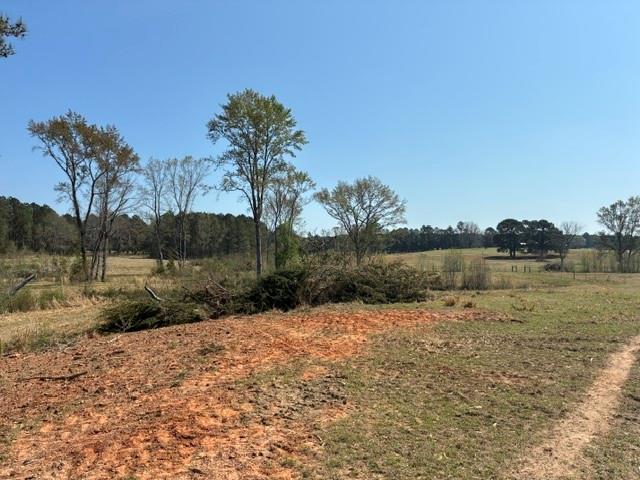 D-1 Dorcheat Road Minden, LA 71055 - Photo 4 of 17