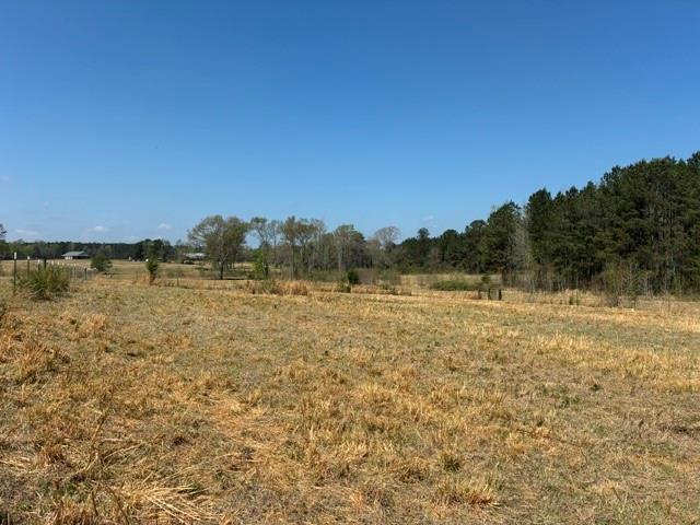 D-1 Dorcheat Road Minden, LA 71055 - Photo 5 of 17