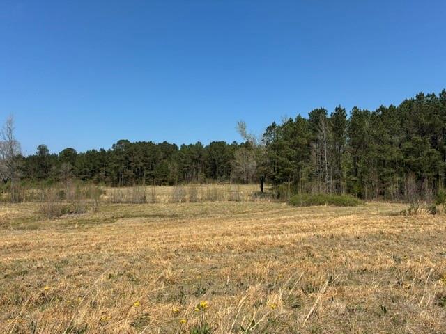 D-1 Dorcheat Road Minden, LA 71055 - Photo 7 of 17