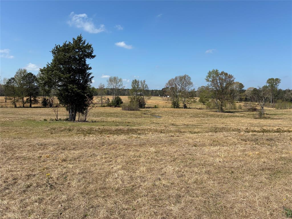 D-1 Dorcheat Road Minden, LA 71055 - Photo 8 of 17