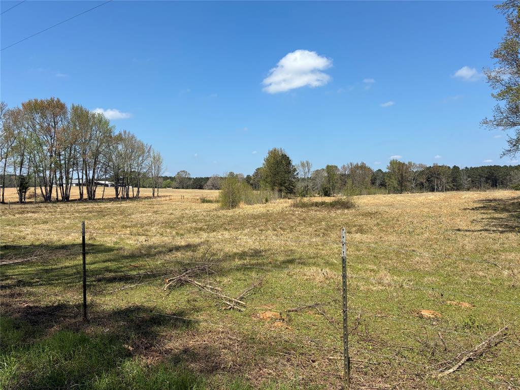 D-1 Dorcheat Road Minden, LA 71055 - Photo 9 of 17