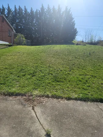 a view of outdoor space and yard