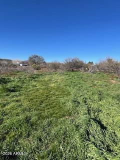 16750 South Aztec Court, Unit 1277 Mayer, AZ 86333 - Photo 1 of 2 a view of a lush green outdoor space with a lake view