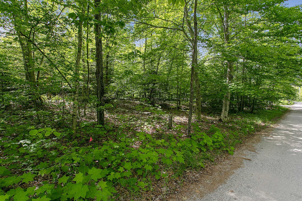 Lot 1 Jorns Road Sturgeon Bay, WI 54235 - Photo 8 of 11
