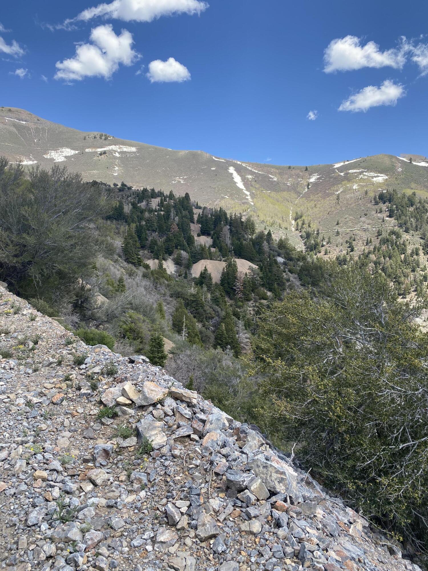 East Bald Mountain Road Stockton, UT 84071 - Photo 13 of 17 IMG_6601