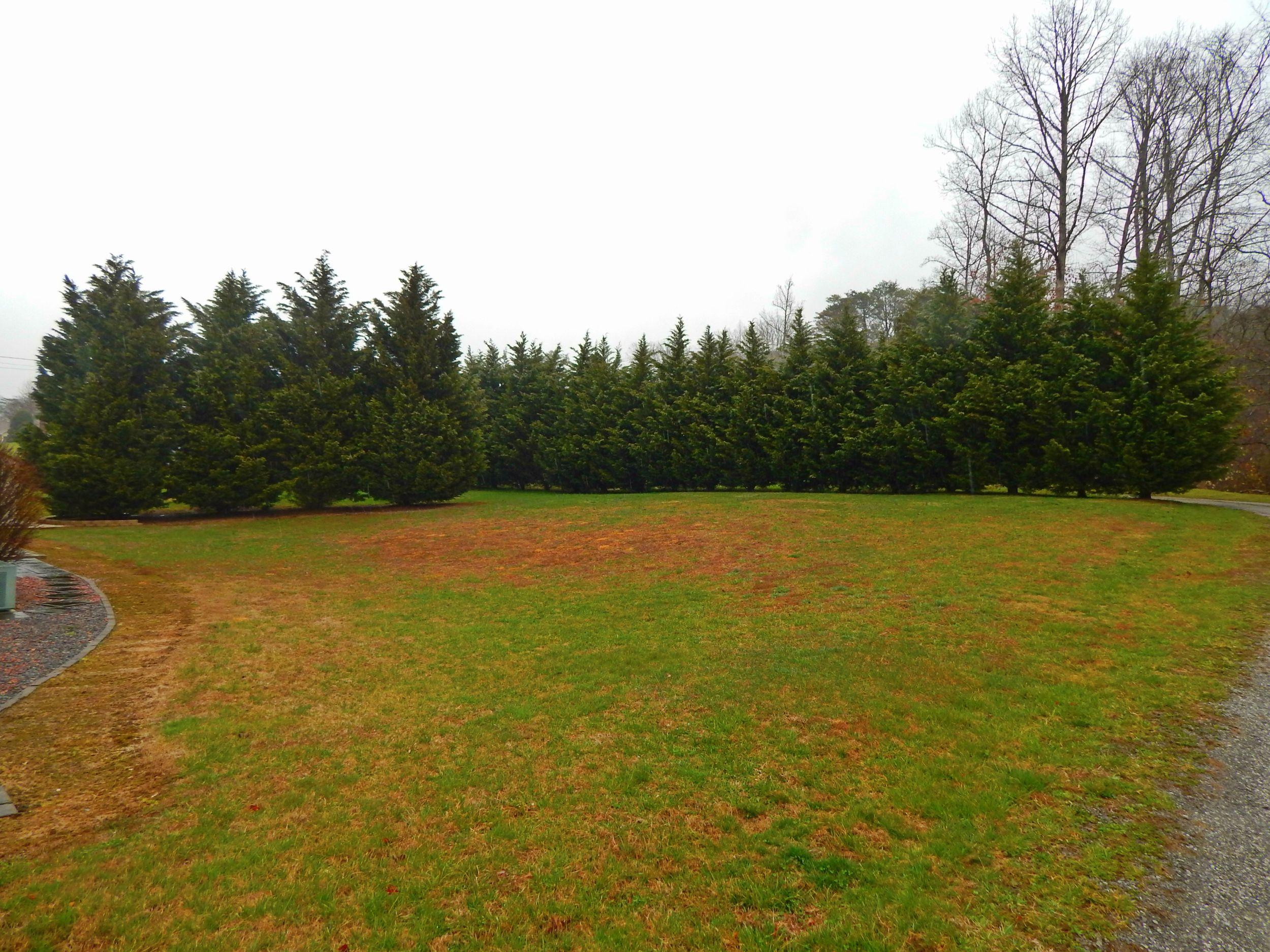 5927 Hickory Valley Road Andersonville, TN 37705 - Photo 6 of 12 3.jpg
