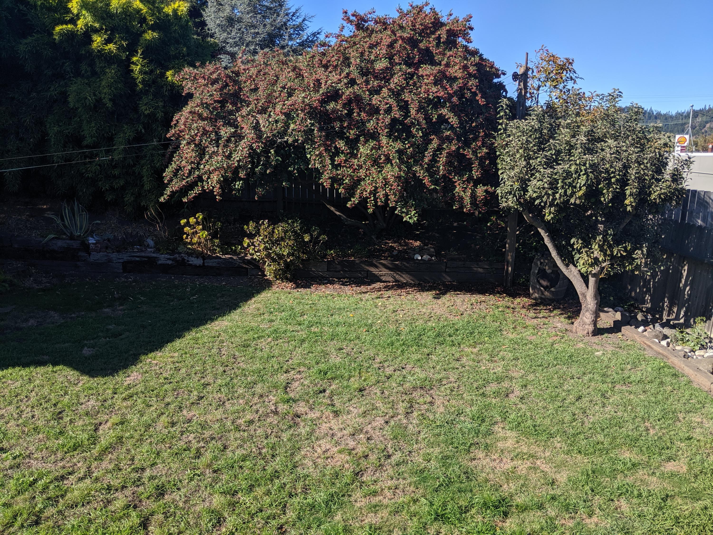 104 Douglas Street Rio Dell, CA 95562 - Photo 44 of 98