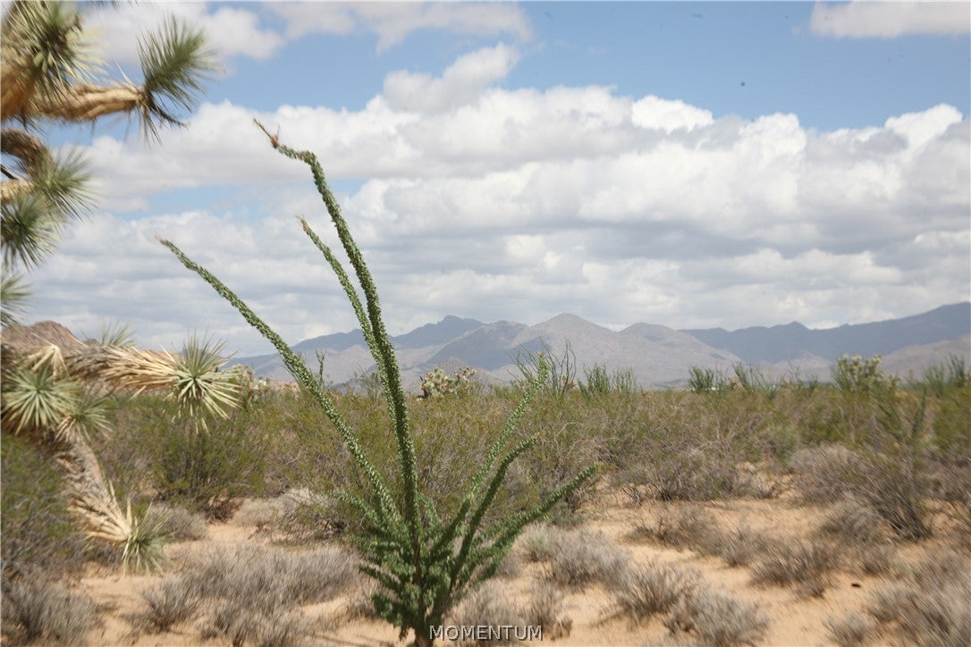 016 South Gene Autry Road Yucca, AZ 86438 - Photo 18 of 38 Gallery Image 18