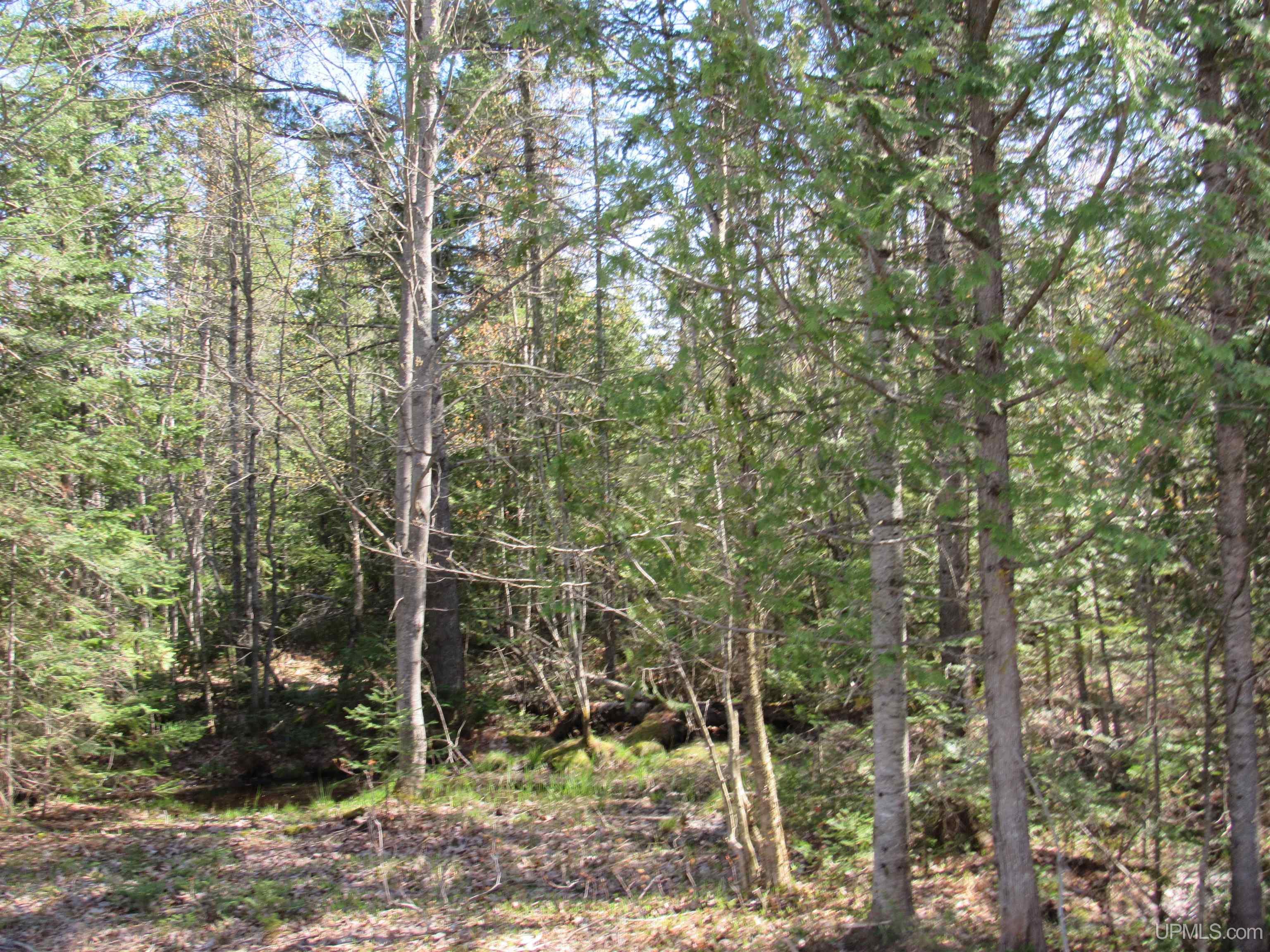 Tbd Rice Lake Road, Unit JUST WEST OF 31959 RICE L Lake Linden, MI 49945 - Photo 4 of 4