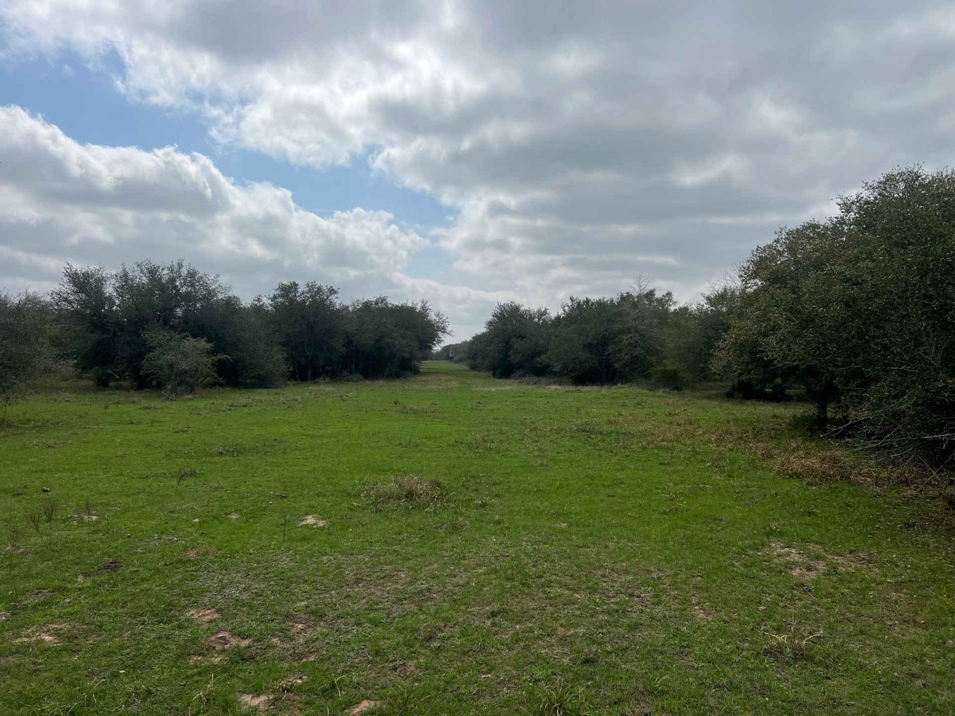 0 Cr 15a Road Hallettsville, TX 77964 - Photo 11 of 13 a view of building with garden