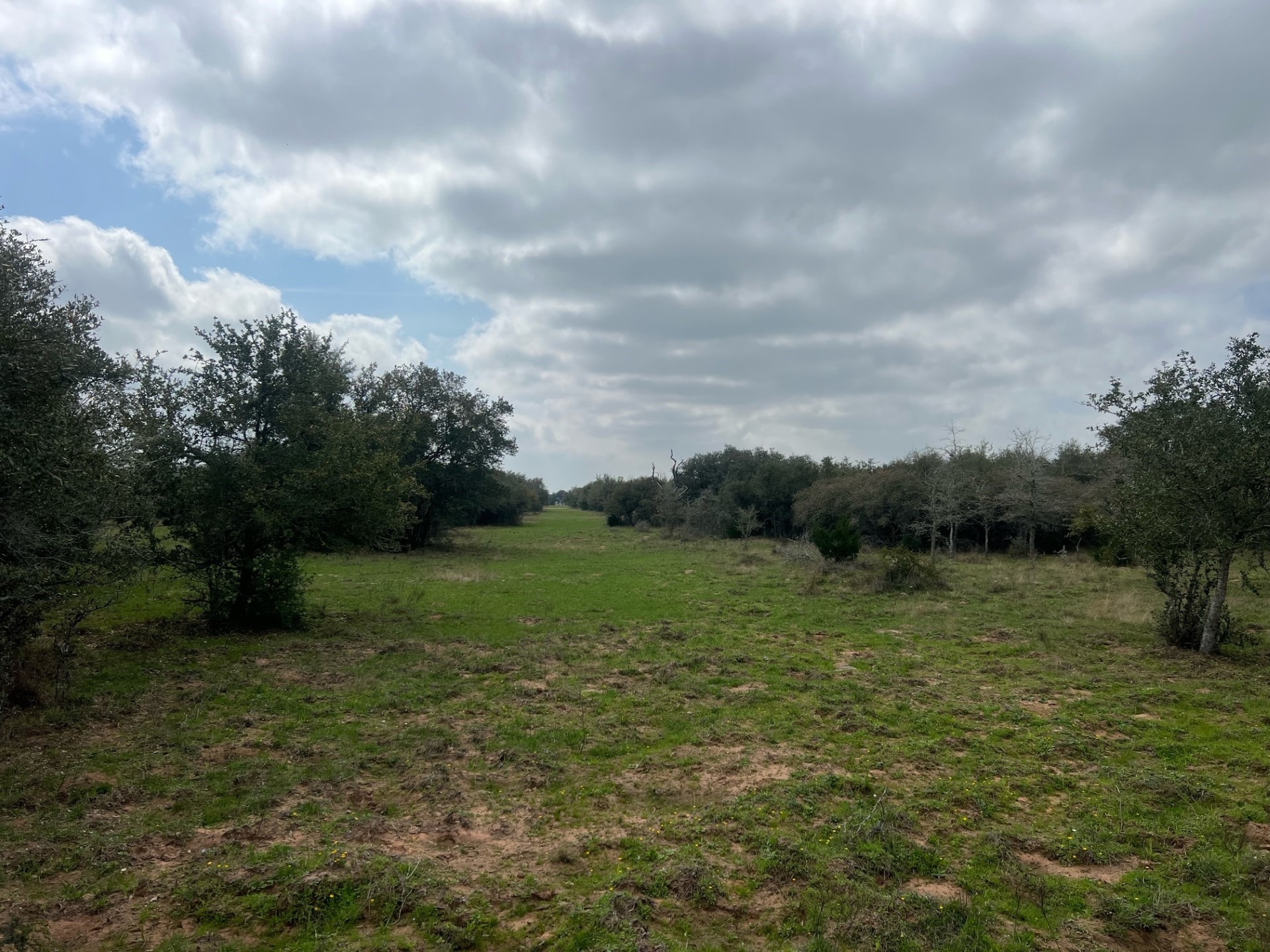 0 Cr 15a Road Hallettsville, TX 77964 - Photo 12 of 13 a view of grassy field with trees