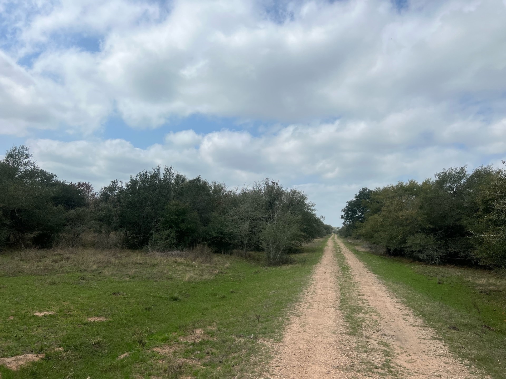 0 Cr 15a Road Hallettsville, TX 77964 - Photo 13 of 13 a view of a pathway with a yard