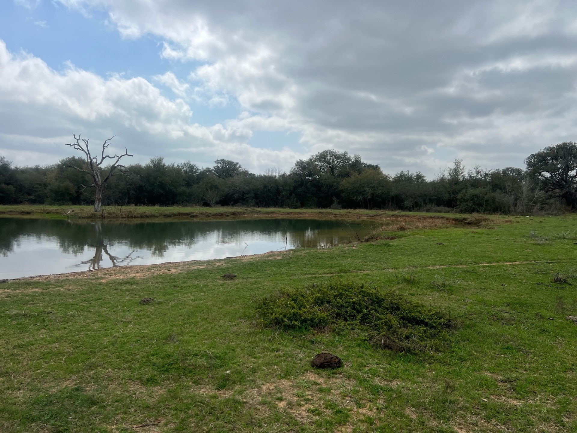0 Cr 15a Road Hallettsville, TX 77964 - Photo 4 of 13 a view of a lake
