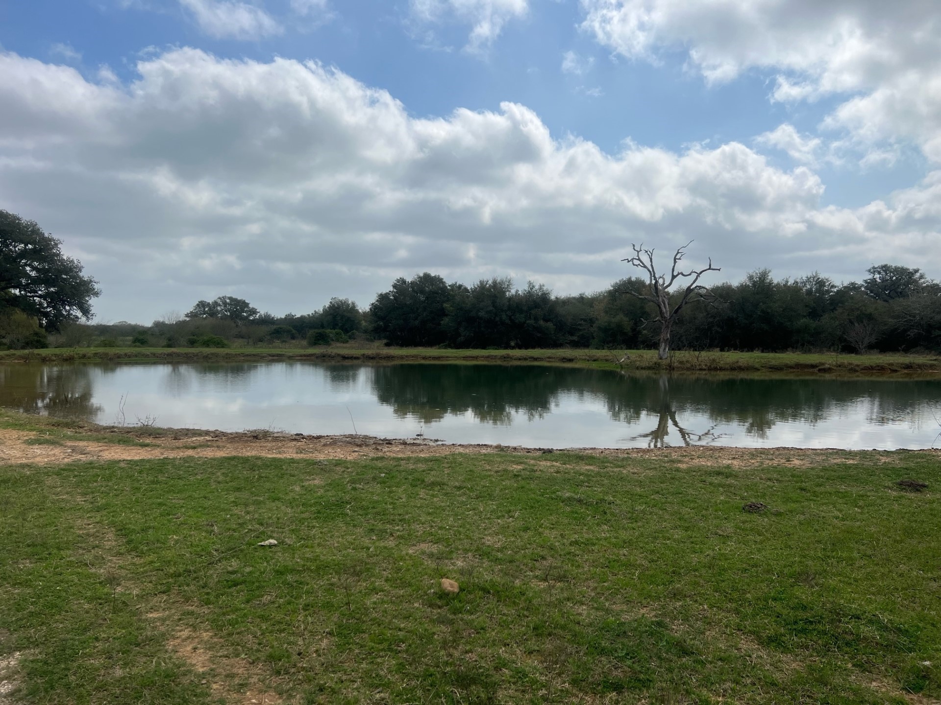 0 Cr 15a Road Hallettsville, TX 77964 - Photo 5 of 13 a view of a lake with houses in the back
