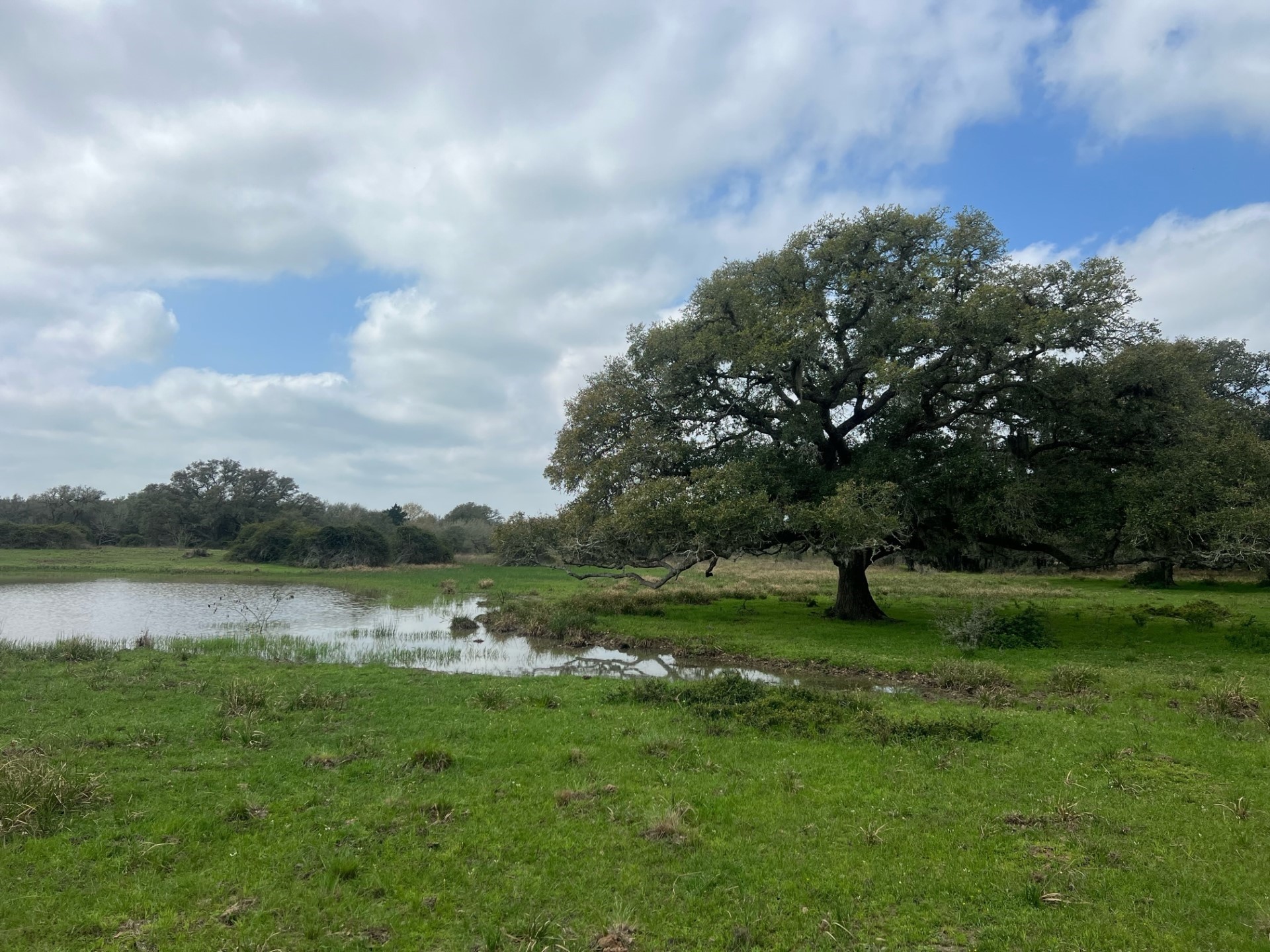 0 Cr 15a Road Hallettsville, TX 77964 - Photo 7 of 13 a view of a lake with a big yard