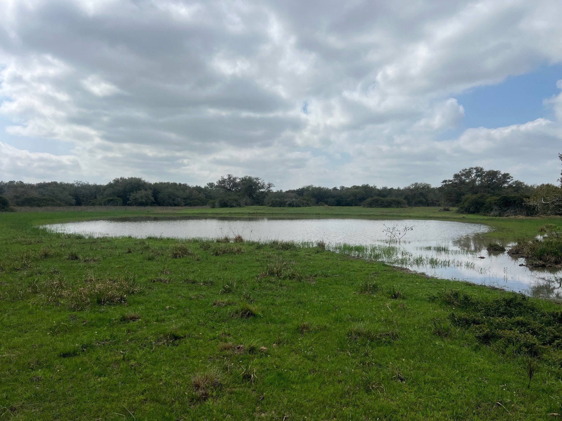 0 Cr 15a Road Hallettsville, TX 77964 - Photo 8 of 13 a view of a lake with houses in the back