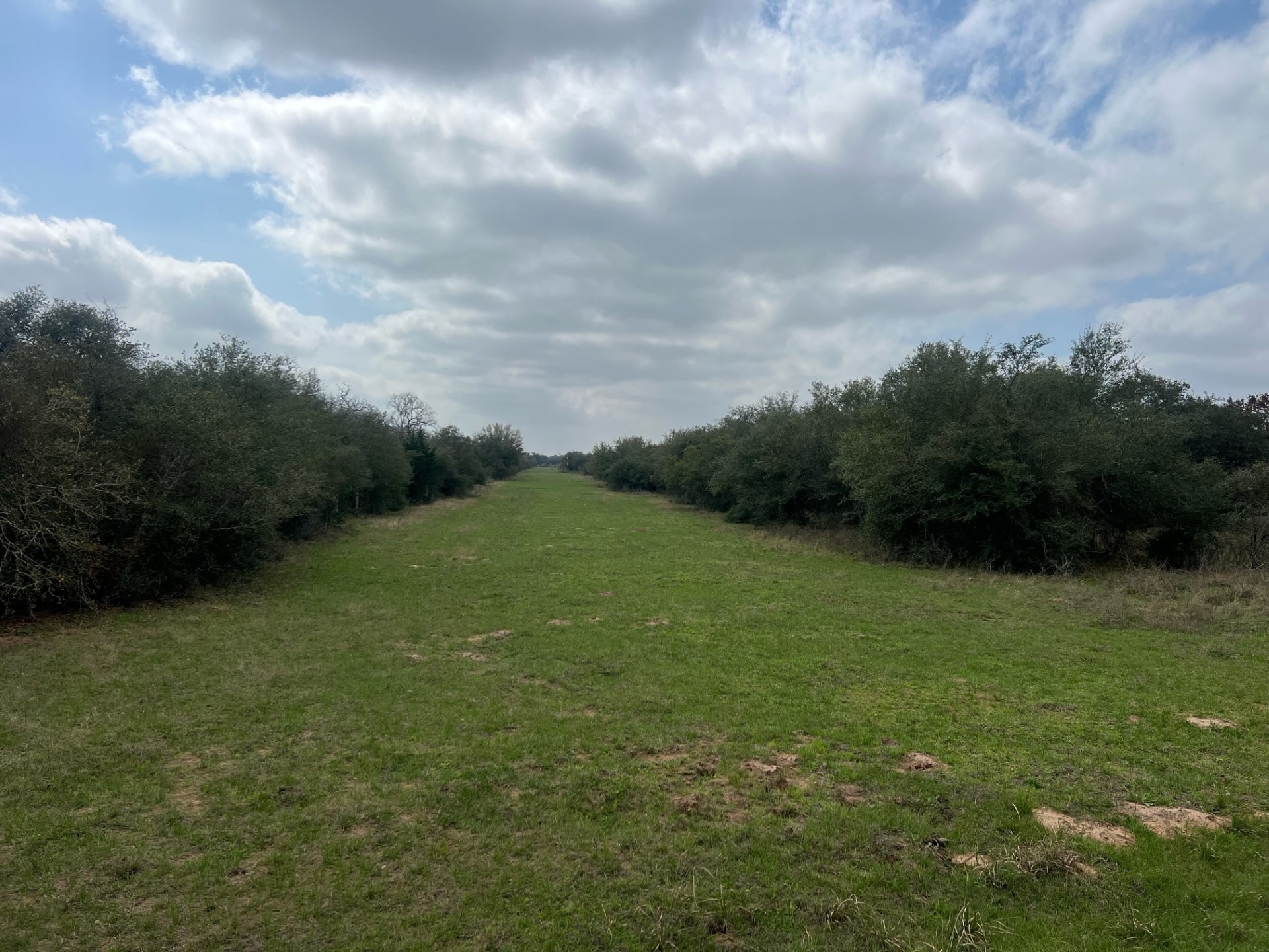 0 Cr 15a Road Hallettsville, TX 77964 - Photo 10 of 13 a view of a green field with wooden fence