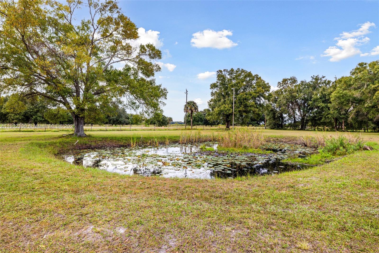 2404 Silver Lake Road LaBelle, FL 33935 - Photo 39 of 89 a view of a lake with a big yard