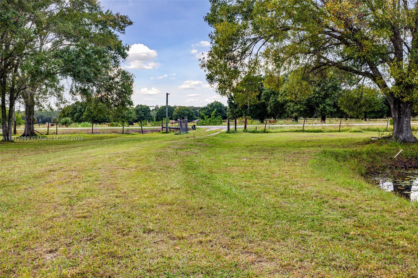 2404 Silver Lake Road LaBelle, FL 33935 - Photo 40 of 89 a view of a big yard with a fountain and large trees