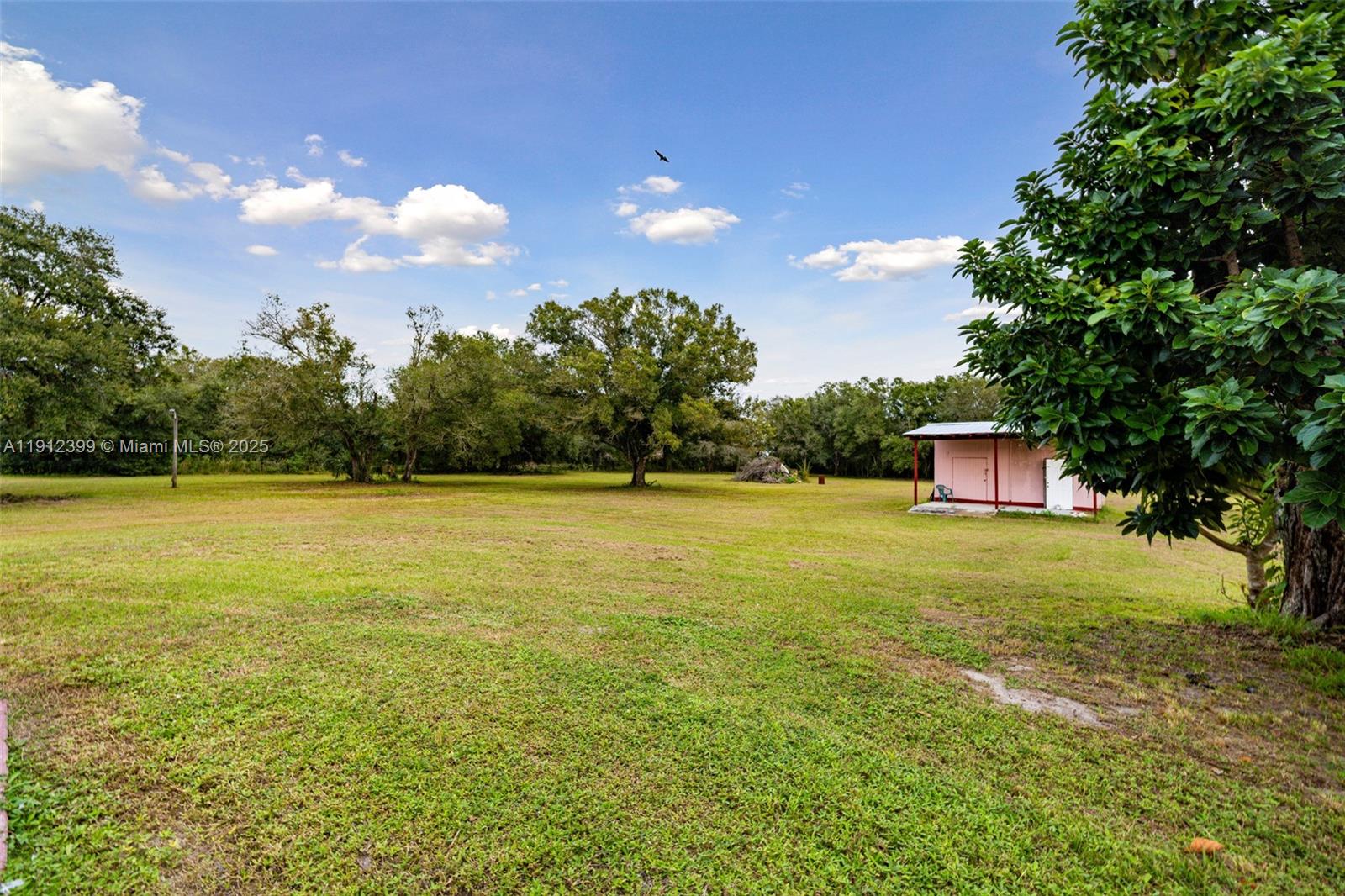 2404 Silver Lake Road LaBelle, FL 33935 - Photo 82 of 89 a view of a yard with a house