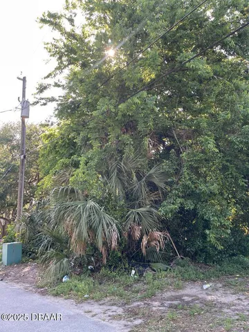 $40,000 | 248 Washington Place, Ormond Beach, FL 32174