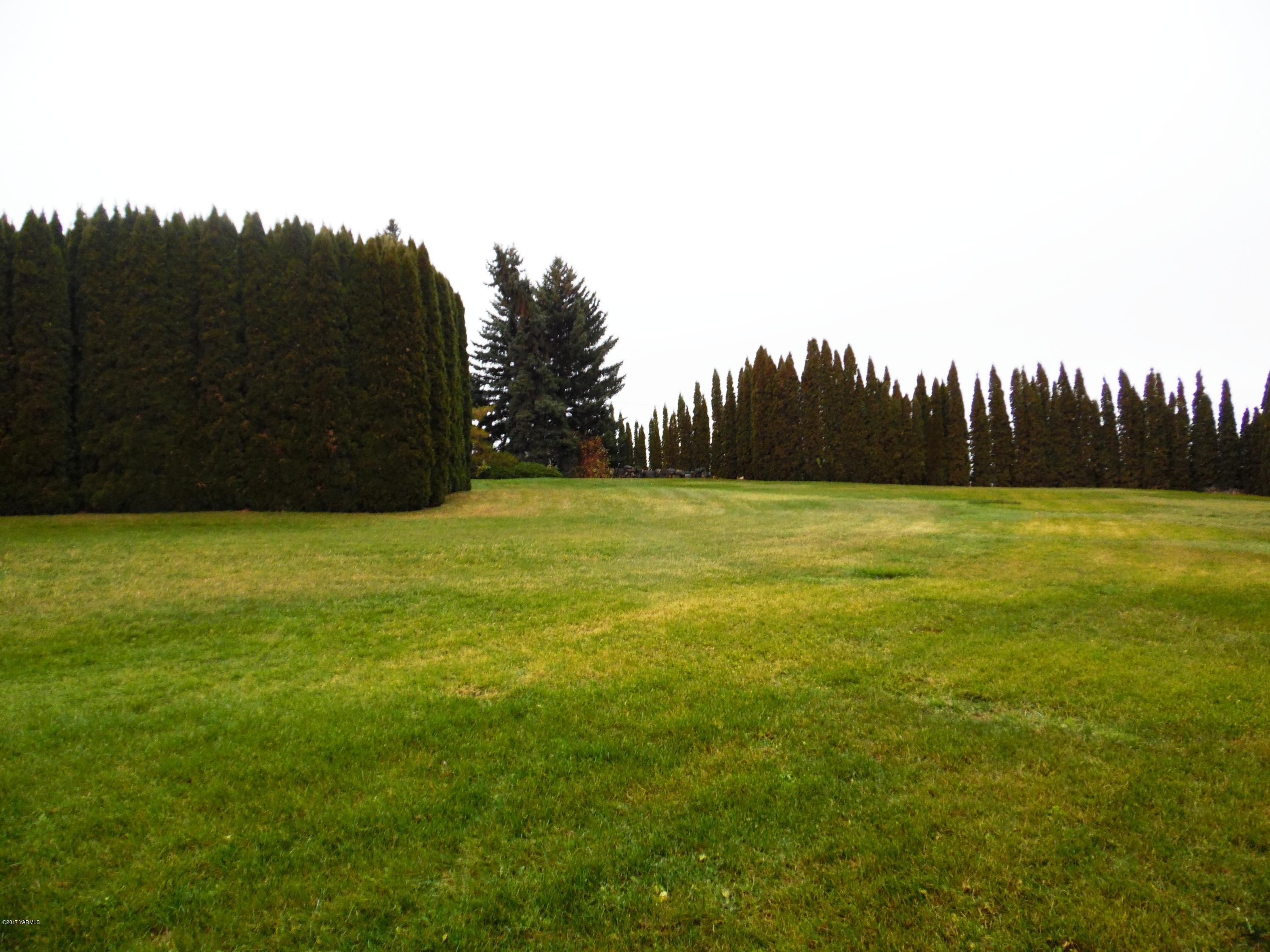 220 Rosenkranz Road Tieton, WA 98947 - Photo 2 of 48 a view of a green yard