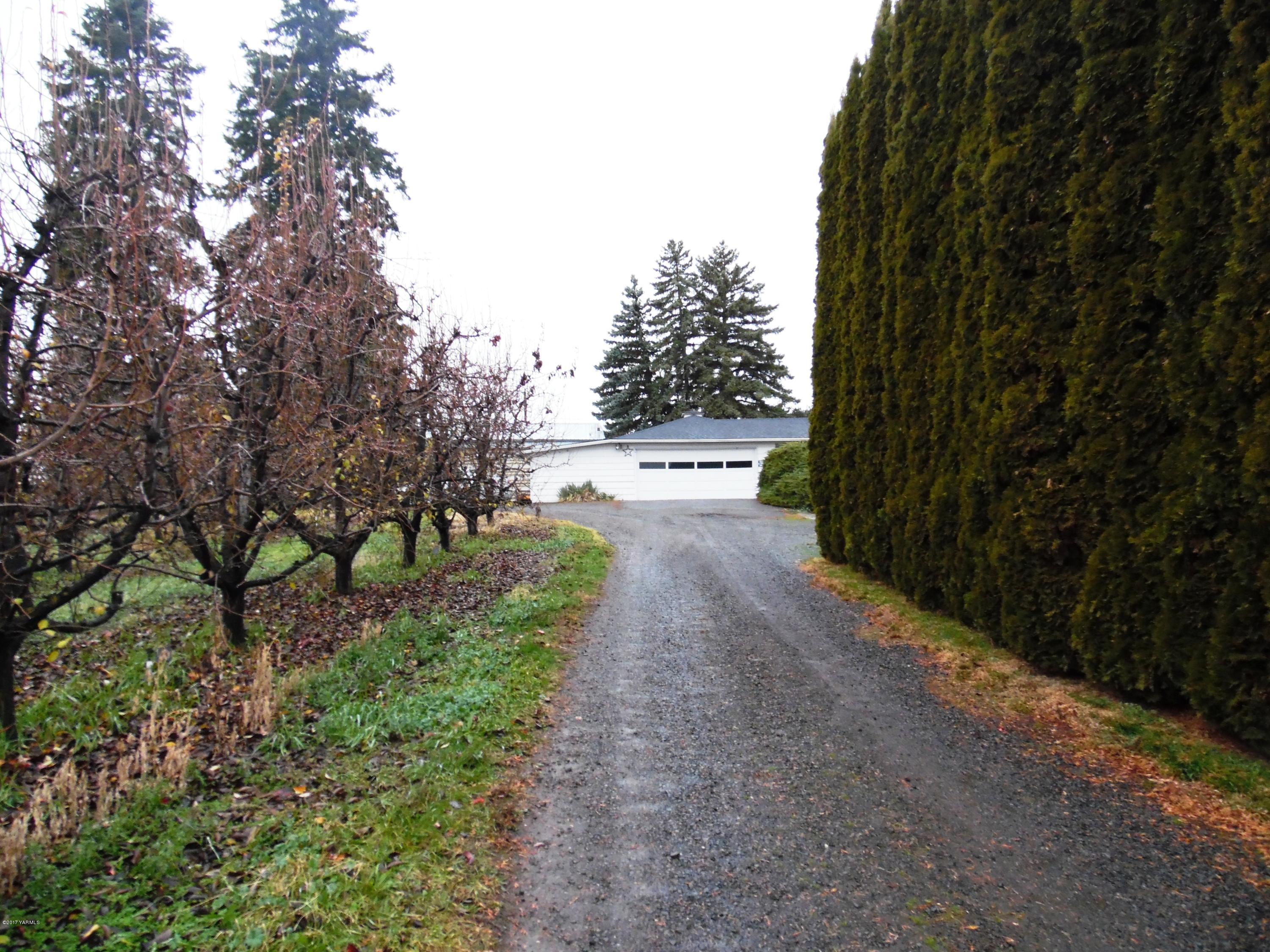 220 Rosenkranz Road Tieton, WA 98947 - Photo 3 of 48 a view of a yard with plants and trees