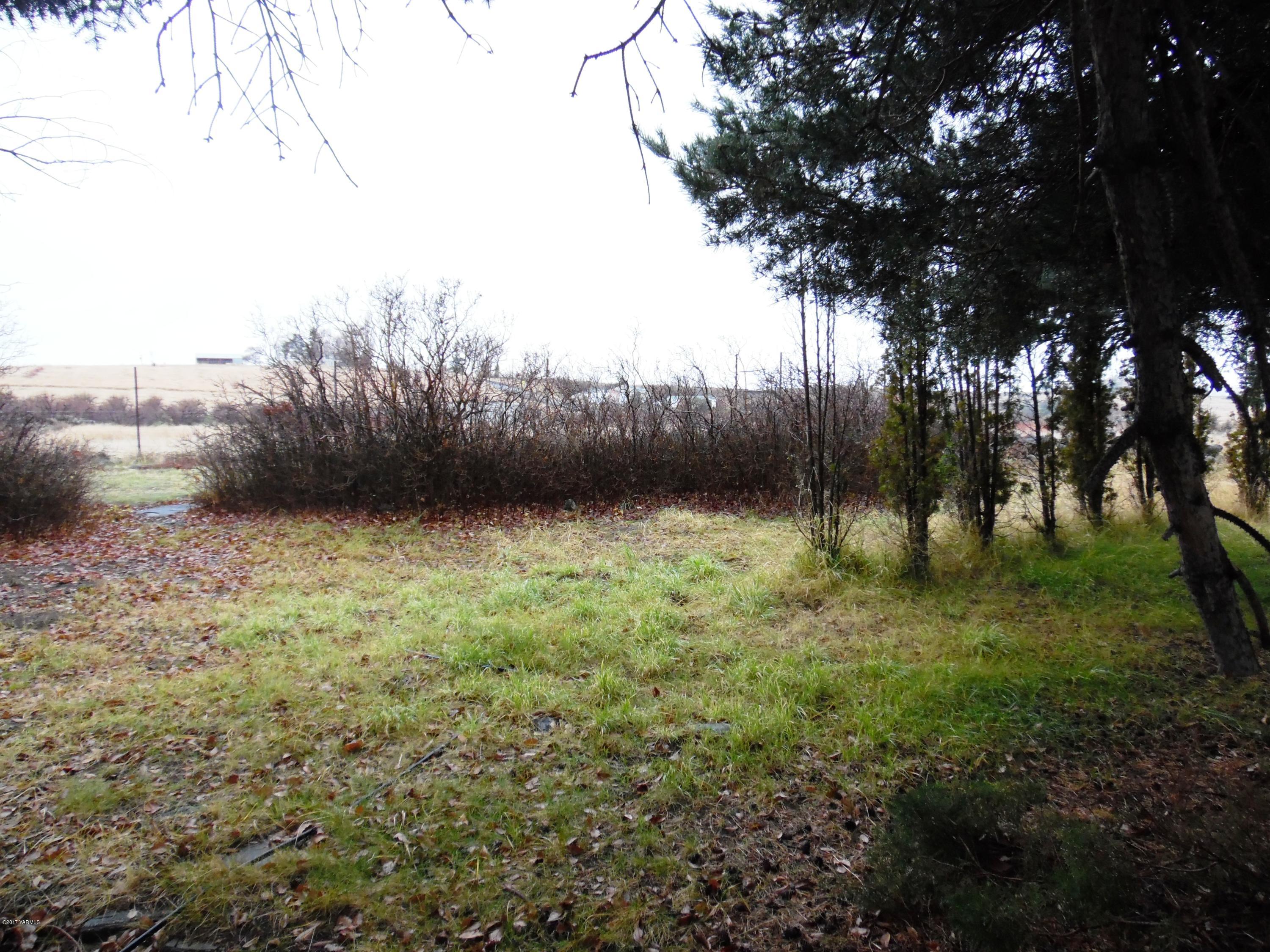 220 Rosenkranz Road Tieton, WA 98947 - Photo 30 of 48 a view of a backyard of the house