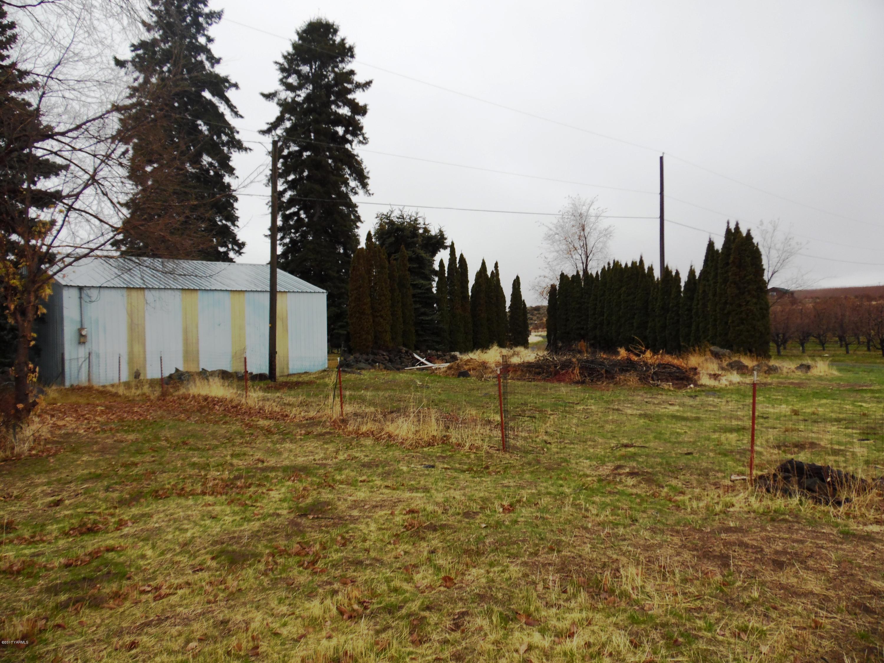 220 Rosenkranz Road Tieton, WA 98947 - Photo 31 of 48 a view of a yard with palm trees