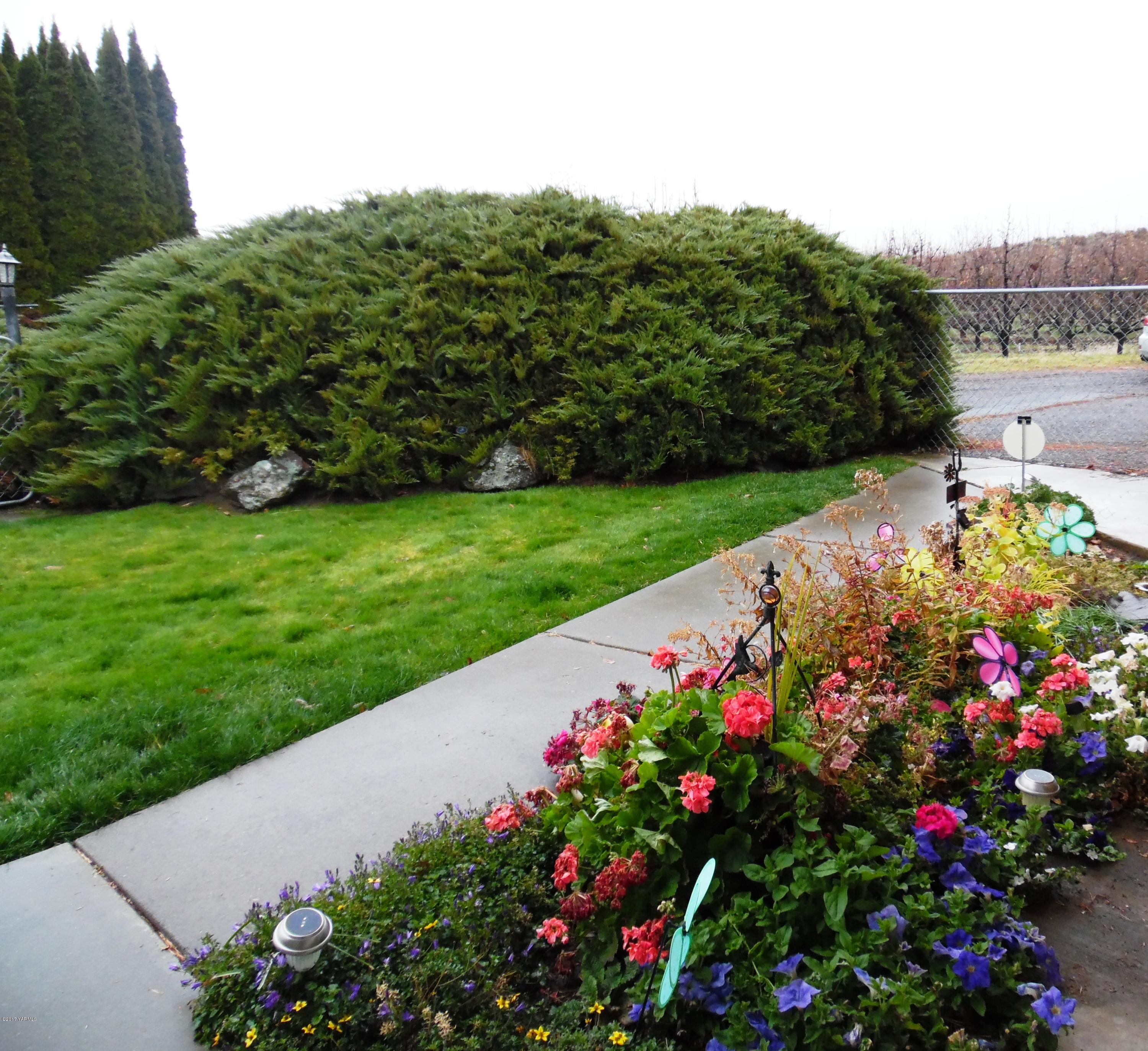 220 Rosenkranz Road Tieton, WA 98947 - Photo 5 of 48 a view of a garden with flowers