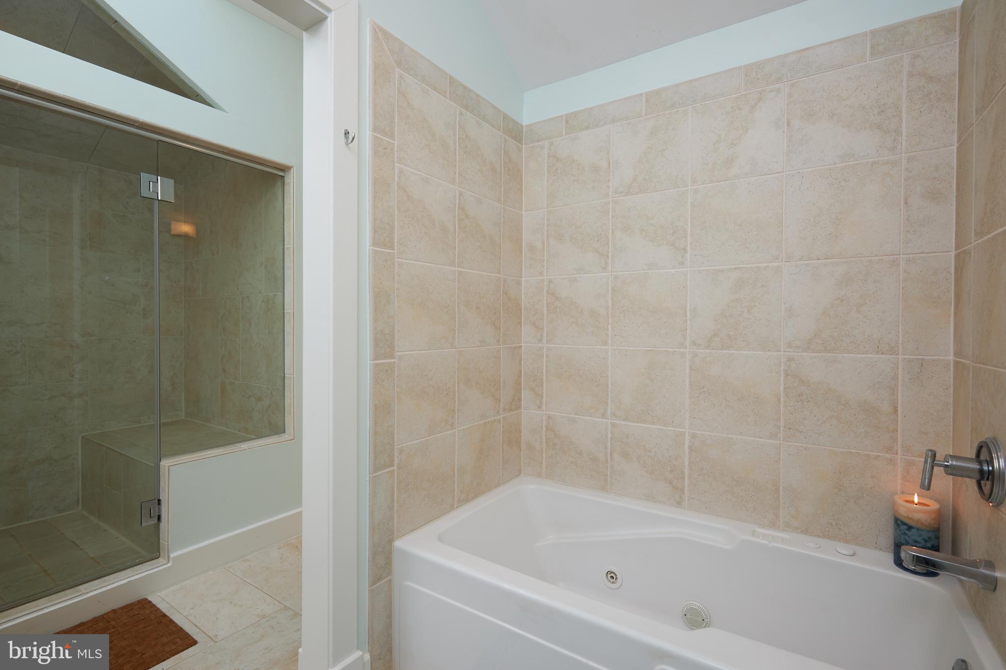 238 Riverside Road Edgewater, MD 21037 - Photo 43 of 145 MBR Steam Shower & tub