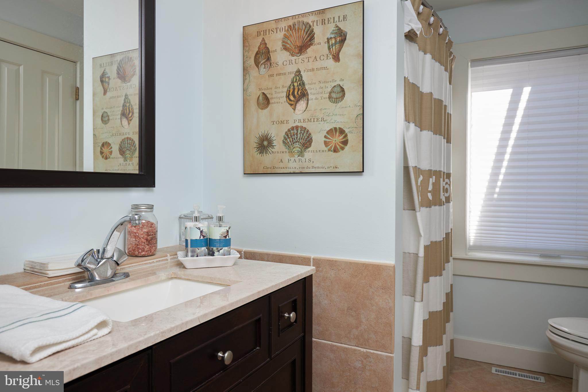 238 Riverside Road Edgewater, MD 21037 - Photo 66 of 145 2nd Bathroom