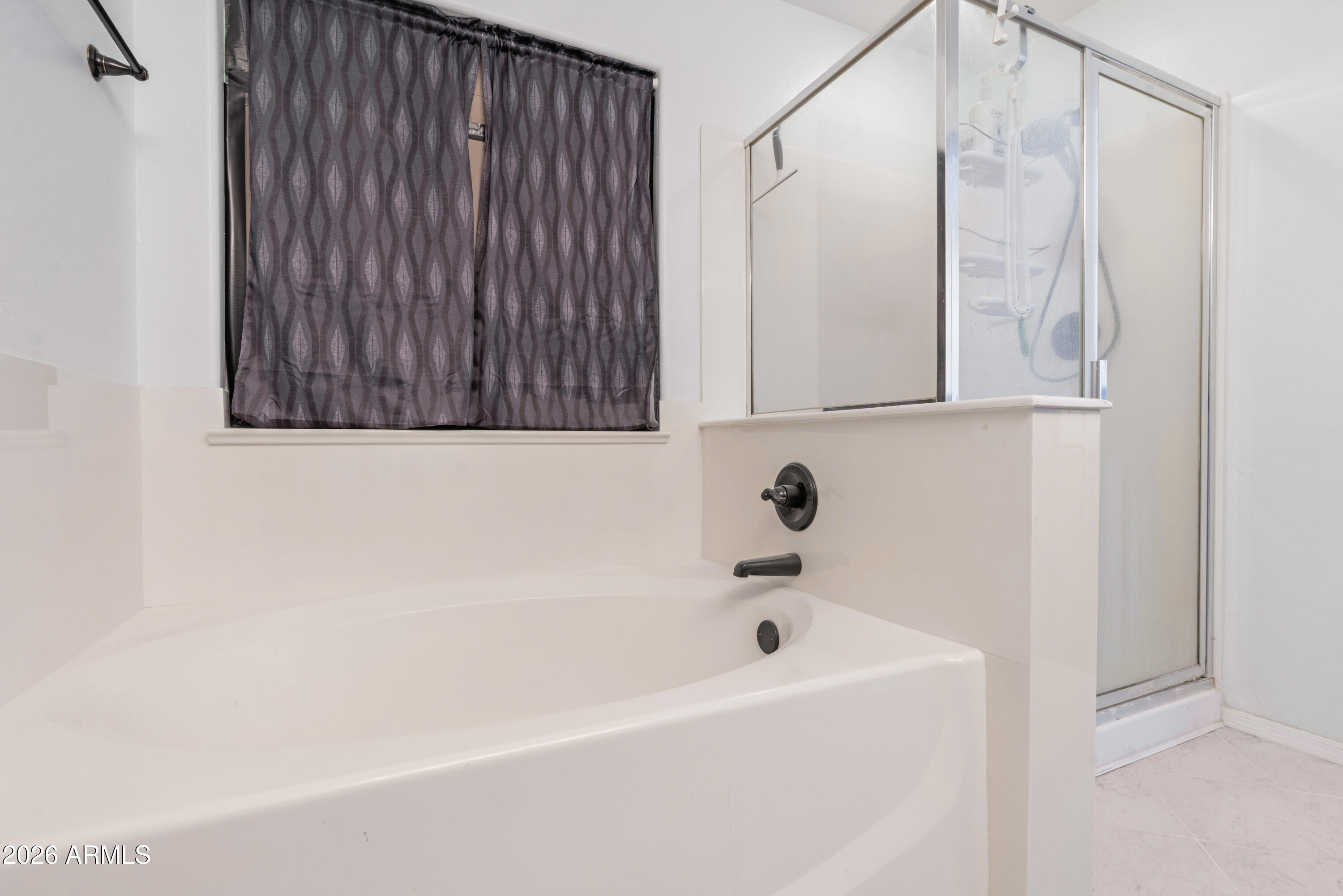 1732 East Magnum Road San Tan Valley, AZ 85140 - Photo 18 of 38 Primary Bath 3