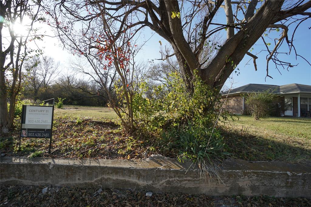 1227 Maple Street Bonham, TX 75418 - Photo 8 of 8