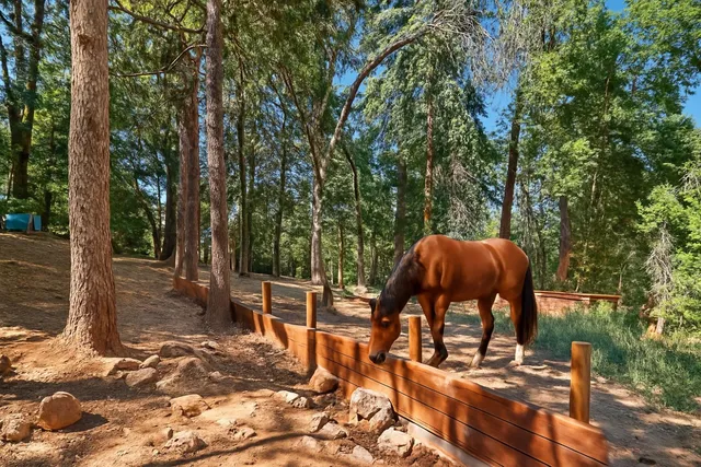 $599,950 | 2737 Birch Avenue, Camino, CA 95709