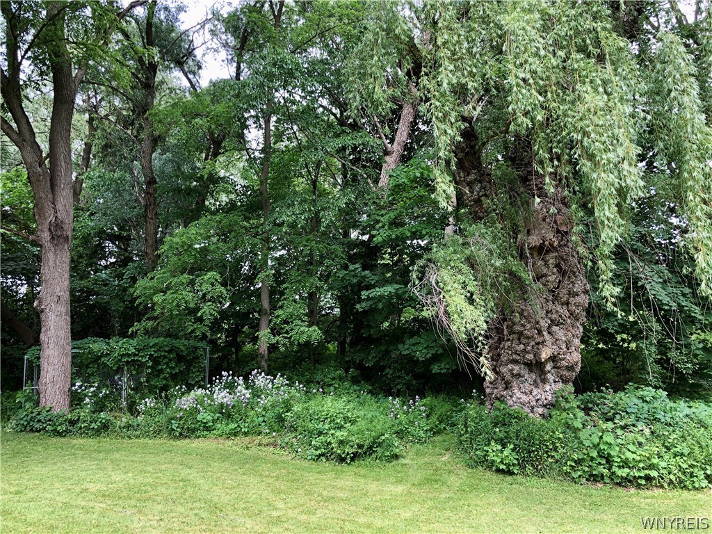 1825 Perry Road Leicester, NY 14481 - Photo 20 of 29