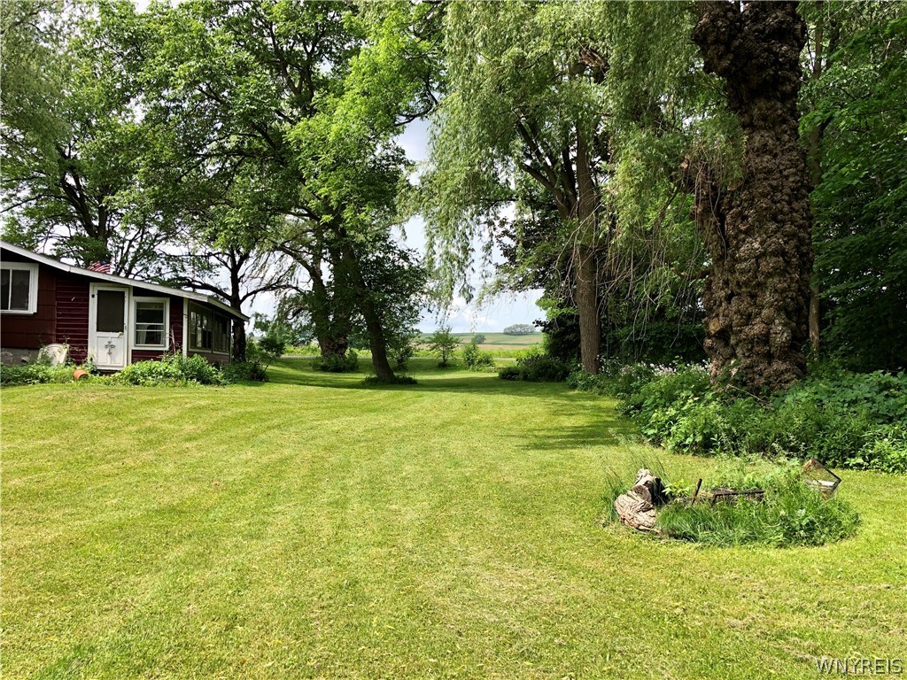 1825 Perry Road Leicester, NY 14481 - Photo 21 of 29