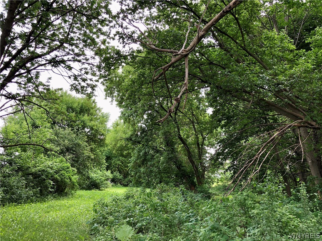 1825 Perry Road Leicester, NY 14481 - Photo 23 of 29