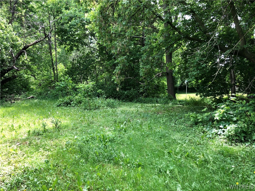 1825 Perry Road Leicester, NY 14481 - Photo 24 of 29