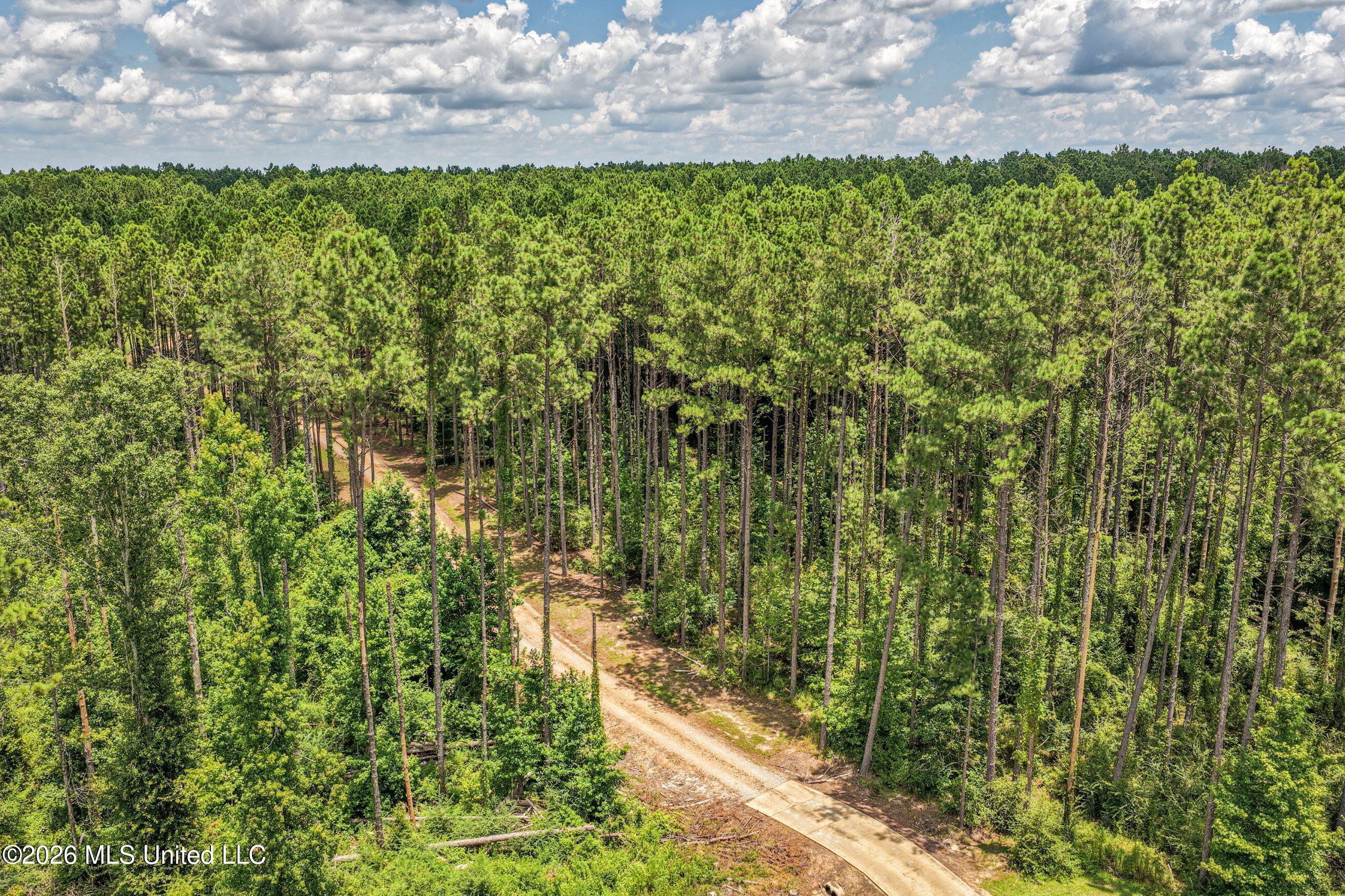 6929 Moak Road Summit, MS 39666 - Photo 16 of 52 DJI_20260708130816_0181_D