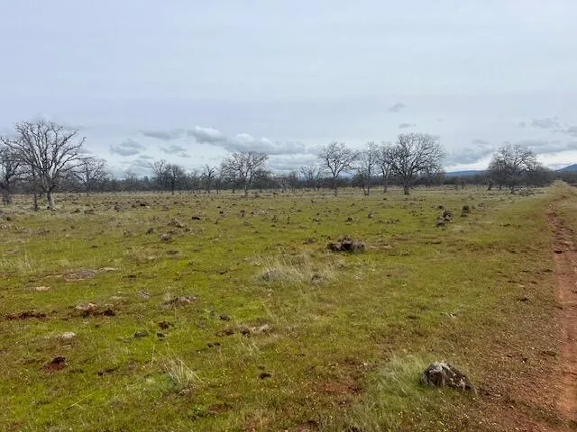 $95,000 | Buffalo Drive, Anderson, CA 96007