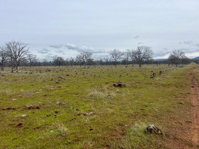 Buffalo Drive Anderson, CA 96007 - Photo 2 of 8 IMG_6522