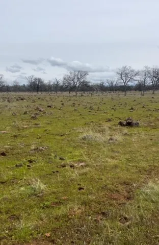 $95,000 | Buffalo Drive, Anderson, CA 96007