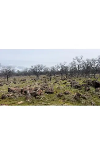 $95,000 | Buffalo Drive, Anderson, CA 96007