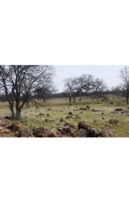 Buffalo Drive Anderson, CA 96007 - Photo 8 of 8 IMG_6543