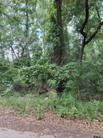 $28,000 | Tbd Dogwood Drive, Murchison, TX 75778